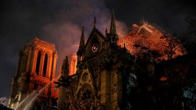 Photo of video | Va renaște precum o pasăre Phoenix? O firmă a propus reconstruirea Catedralei Notre-Dame din propria cenușă