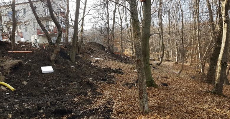 Photo of foto | L-au răpit în timp ce se întorcea de la muncă. Un bărbat din capitală, dus într-o pădure și șantajat de doi indivizi