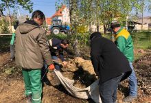 Photo of foto | Orășenii au făcut curat astăzi în curțile blocurilor. Codreanu: „Vremea e frumoasă și potrivită pentru salubrizare”