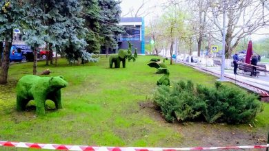 Photo of foto | Mai multe animăluțe exotice au apărut într-un scuar din capitală. Unde le pot admira orășenii?