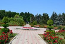 Photo of foto | Mai multă culoare și frumusețe pentru chișinăuieni. 3000 de trandafiri vor fi plantați în Parcul Dendrariu din capitală