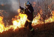 Photo of Pompierii continuă lupta cu incendiiile de vegetație. Peste 200 de hectare de teren au fost cuprinse de flăcări