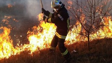 Photo of Pompierii continuă lupta cu incendiiile de vegetație. Peste 200 de hectare de teren au fost cuprinse de flăcări