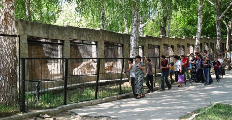 Photo of Schimbări de program și prețuri la Grădina Zoologică. Cât costă acum biletele și până când poți vizita animalele?