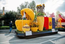 Photo of foto, video | Confecționat din flori și însoțit de muzică moldovenească. Un drapel imens al Moldovei a cutreierat localitățile olandeze