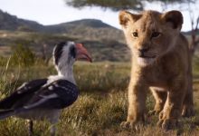Photo of video | După 25 de ani, „The Lion King” revine în cinematografe. Trailerul oficial al filmului cu efecte vizuale speciale, lansat
