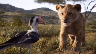 Photo of video | După 25 de ani, „The Lion King” revine în cinematografe. Trailerul oficial al filmului cu efecte vizuale speciale, lansat