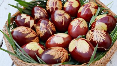 Photo of Reciclare culinară: Ce facem cu ouăle fierte, rămase după Paște? Cinci rețete din bucătăria ZUGO