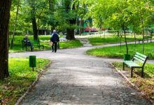 Photo of Parcul Rîșcani va prinde viață! Chișinăuienii se vor putea bucura aici de un Teatru Verde, alei și iluminare publică