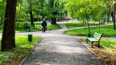 Photo of Parcul Rîșcani va prinde viață! Chișinăuienii se vor putea bucura aici de un Teatru Verde, alei și iluminare publică