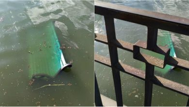 Photo of foto | Scaune „plutitoare” la Valea Morilor? O bancă a fost aruncată în lac de către persoane necunoscute