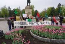 Photo of „Student, angajat sau pensionar – toți suntem egali în fața încălzirii globale”. Chișinăuienii sunt invitați la Protestul Mondial pentru Climă