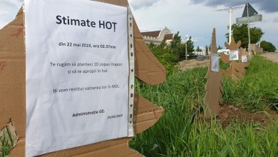 Photo of foto | Un local din Sîngera oferă o a doua șansă „hoțului de copaci”: Te rugăm să-i plantezi înapoi și îți vom restitui valoarea lor în lei