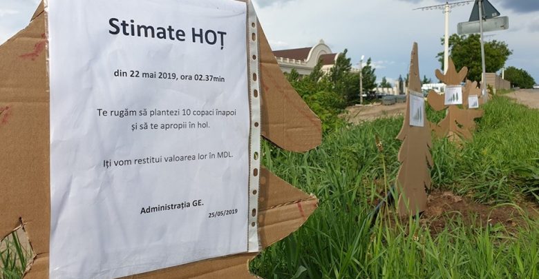 Photo of foto | Un local din Sîngera oferă o a doua șansă „hoțului de copaci”: Te rugăm să-i plantezi înapoi și îți vom restitui valoarea lor în lei