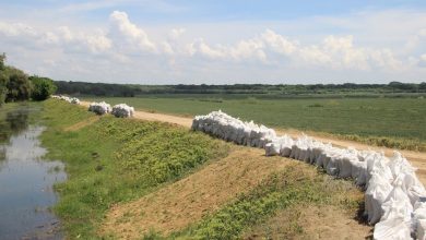 Photo of foto, video | Risc de inundații la Crocmaz: salvatorii fortifică un dig de protecție