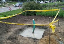 Photo of foto | Curând ne vom bucura de primul arbore solar din Chișinău. Cum va arăta acesta?