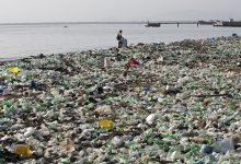 Photo of Consiliul UE a votat pentru o Europă verde și sănătoasă. Articolele de unică folosință din plastic vor fi interzise 