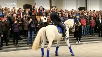 Photo of video | De 9 mai, Plutonul de Cavalerie dansează vals și mărșăluiește pe muzica fanfarei MAI