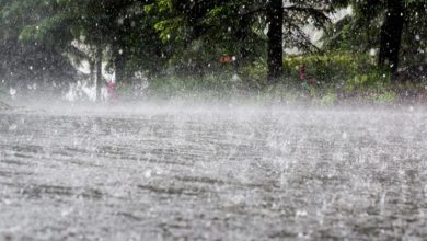 Photo of Drumuri inundate și acoperișuri smulse de vânt: ploile au făcut ravagii în mai multe localități din țară