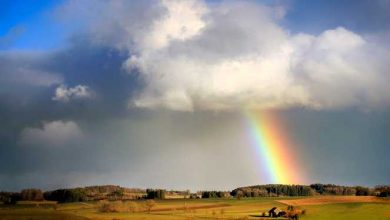 Photo of meteo | Soarele și norii vor lupta pentru un loc pe cerul Moldovei. Cum va fi vremea săptămâna viitoare?