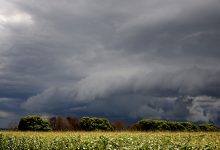 Photo of Meteorologii prognozează o vară cu fenomene extreme: Ne așteaptă furtuni puternice și valuri de căldură dogoritoare
