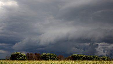 Photo of Meteorologii prognozează o vară cu fenomene extreme: Ne așteaptă furtuni puternice și valuri de căldură dogoritoare