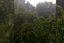Photo of foto, video | Vremea rea face ravagii în țară: După Ungheni, grindina a ajuns și la Drochia