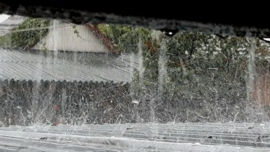 Photo of video | Ploaia cu grindină a cuprins nordul țării. Parbrizele șoferilor, lovite de bucăți de gheață cât mazărea
