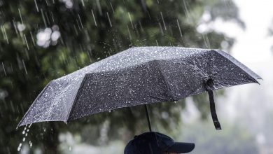 Photo of meteo | În acest an, fără tocuri la cimitire. Ne așteaptă ploi cu descărcări electrice și temperaturi de doar 10℃ 