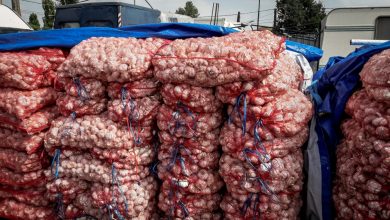 Photo of video | Ministrul Agriculturii a găsit cartofi de vânzare cu 11 lei kilogramul: „Unii au speculat politic pe acest subiect”