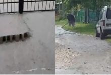 Photo of video | Șuvoaie mari pe străzile din Bălți. Mai multe drumuri și gospodării din oraș au fost inundate din cauza ploii