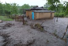 Photo of foto, video | Noi date alarmante în urma ploilor puternice: 330 de hectare de culturi din țară, dar și mai multe gospodării, distruse