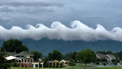 Photo of foto | Spectacol pe cerul Virginiei. Cum explică meteorologii apariția norilor în formă de valuri oceanice?