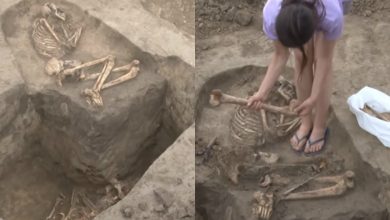 Photo of foto | Descoperiri uimitoare la Cimișlia. Arheologii au găsit două morminte care au peste 6000 de ani
