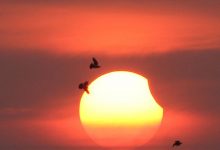 Photo of O eclipsă totală de Soare va avea loc săptămâna viitoare. Unde va fi vizibil fenomenul?