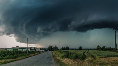 Photo of meteo | Pregătiți umbrelele. Se anunță Cod galben de furtună și descărcări electrice