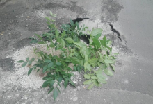 Photo of foto | Încă un „crater” a apărut pe una din cele mai aglomerate străzi din Chișinău. O creangă îi atenționează pe șoferi că ar putea rămâne fără roți