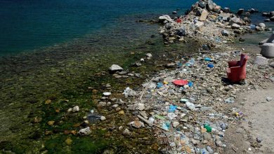 Photo of infografic | Plasticul – marele pericol al umanității. Știai că anual mănânci, bei sau inhalezi până la 210.000 de particule de produs sintetic?
