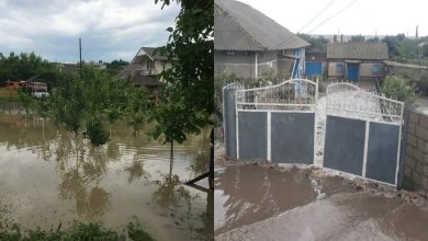 Photo of foto, video | Vremea și-a arătat colții: Sute de hectare de culturi și zeci de locuințe, inundate în urma ploilor din ultimele zile