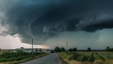 Photo of meteo | O nouă zi de vară, cu un nou cod galben de vijelie. Ce prognoze fac meteorologii pentru ziua de mâine?