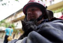 Photo of video | N-au rămas indiferenți. Pompierii au salvat cinci pisici care au rămas blocați într-un subsol