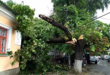 Photo of Ploaia din această după-amiază a doborât arbori, a inundat străzi și subsoluri. Municipalitatea a reacționat operativ