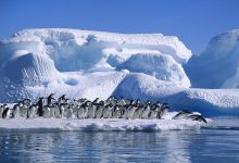 Photo of Antarctica continuă se se topească cu o viteză uluitoare. Nivelul apei în mări ar putea crește cu jumătate de metru în următoarele secole