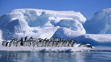 Photo of Antarctica continuă se se topească cu o viteză uluitoare. Nivelul apei în mări ar putea crește cu jumătate de metru în următoarele secole