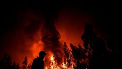 Photo of foto | Situație critică în Portugalia. Peste 1000 de pompieri luptă cu flăcările care au cuprins pădurile din centrul țării