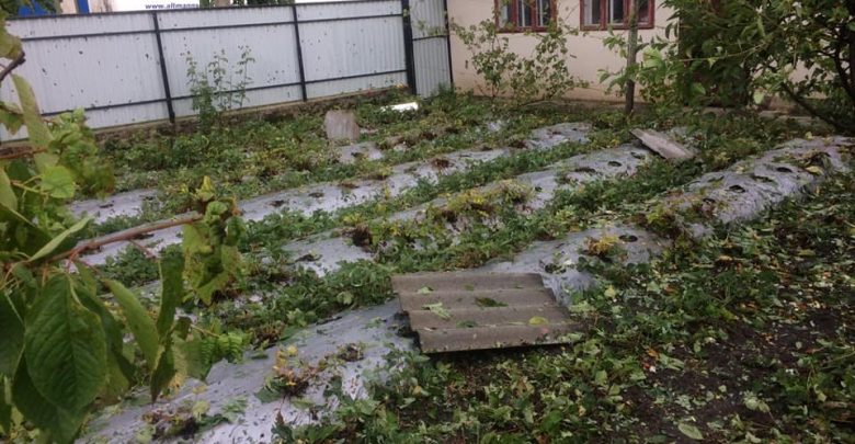 Photo of Cel puțin 17 localități de la nordul țării au rămas fără lumină din cauza ploilor puternice de ieri. Peste 30 de copaci au fost doborâți de vânt