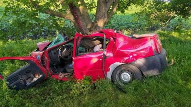 Photo of INP: Orhei, Ialoveni și Bălți, raioanele cu cele mai multe accidente rutiere produse în ultimele 6 luni