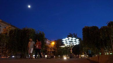 Photo of foto | Prima noapte a arborelui solar de pe Grigore Vieru. Cum arată instalația după lăsarea întunericului?