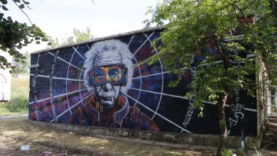 Photo of foto | L-a pictat pe Einstein pe fațada unei clădiri ca să îl cunoască tinerii. Un artist din Comrat impresionează localnicii cu lucrările sale