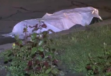 Photo of Un bărbat de 50 de ani, lovit mortal de un microbuz de rută în apropiere de Cojușna. Victima traversa strada neregulamentar